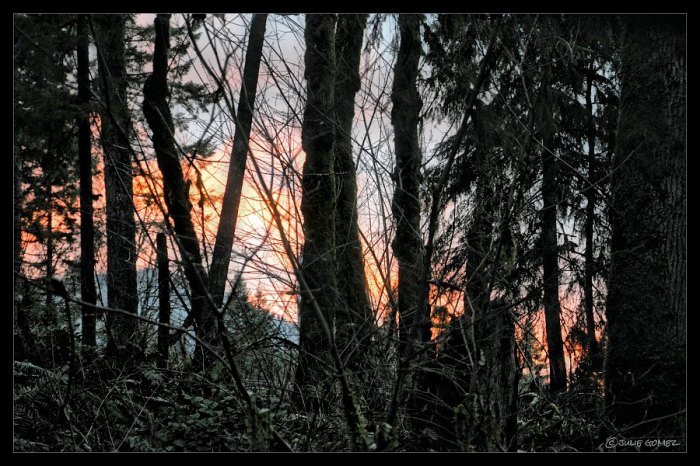 sized_hdr Winter Sunset over Huckleberry Mountain Wildwood OR 12-29-2014_004_Fotor copy